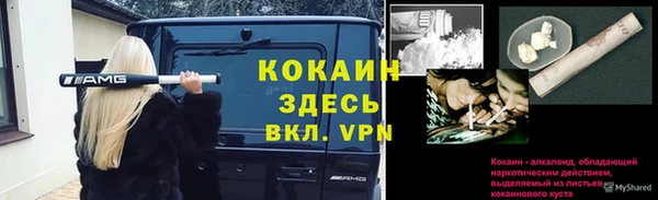 меф Богородицк